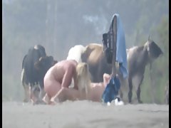 Mature bitch on the beach