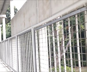 jc bridge upskirt singapore