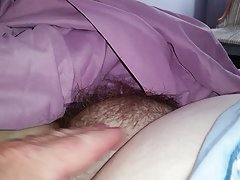uncovering my wifes thick hairy pussy in the morning