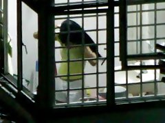 Singapore neighbour peep