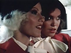 Limo Kinky Adventure