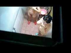 luna  &amp; frnds 483