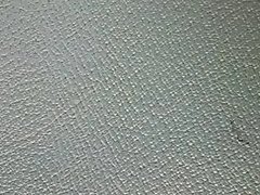 Observando en el Gym #01