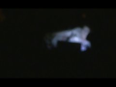 Spying through the window