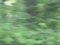 Teen neighbor&#039;s mom in yard